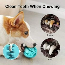 Unbranded Dog Toy Ball, Jeux De Balle De Chien, Chien Rubber Chew Ball Clean Teeth Jouet Non Toxique Résistant Aux Morsures -nourriture pour chien boutique 776366255 max