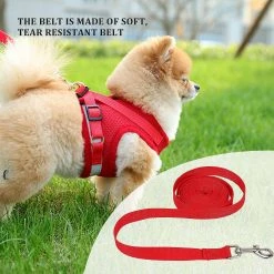 Unbranded Towline Leash Recherche Leash Leash Leash Training Leash Dog Leash Couleur: Rouge Longueur: 5m -nourriture pour chien boutique 778517189 max