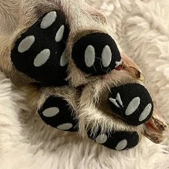Unbranded Sysy Pet Invisible Foot Sticker Non-slip Foot Sticker Scratch Proof Hot Dust Waterproof Dog Pad S 7 Unbranded Sysy Pet Invisible Foot Sticker Non-slip Foot Sticker Scratch Proof Hot Dust Waterproof Dog Pad S -nourriture pour chien boutique 778850551 max
