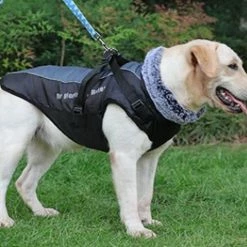 Unbranded Sysy New Pet Clothes Reflective Warm Dog Fur Collar Cotton Padded Clothes 3xl 7 Unbranded Sysy New Pet Clothes Reflective Warm Dog Fur Collar Cotton Padded Clothes 3xl -nourriture pour chien boutique 778873267 max