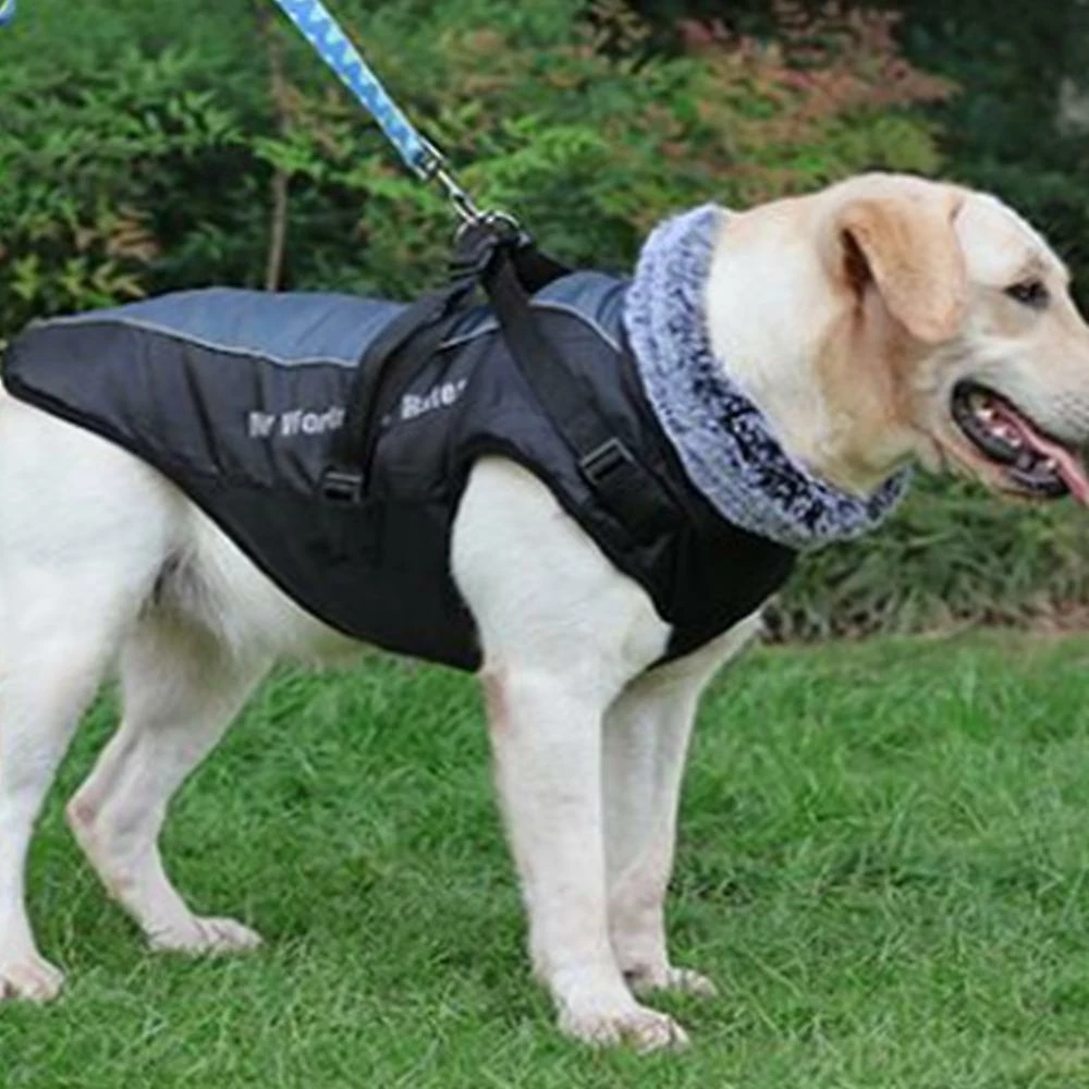 Unbranded Sysy New Pet Clothes Reflective Warm Dog Fur Collar Cotton Padded Clothes 3xl 3 Unbranded Sysy New Pet Clothes Reflective Warm Dog Fur Collar Cotton Padded Clothes 3xl – Image 3