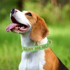 Unbranded Sysy Personalized Dog Collar, Custom Embroidered Pet Name And Phone Number, Quick Release D-ring Gra -nourriture pour chien boutique 778877666 max