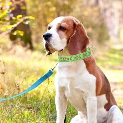 Unbranded Sysy Personalized Dog Collar, Custom Embroidered Pet Name And Phone Number, Quick Release D-ring Gra -nourriture pour chien boutique 778877757 max