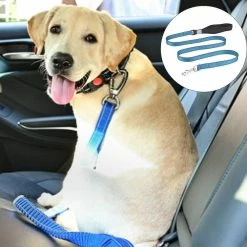 Unbranded Sysy Small, Medium And Large Dogs Nylon Out Traction Rope Walking Dog Rope Reflective Traction Belt -nourriture pour chien boutique 778878999 max