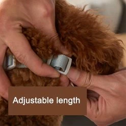 Unbranded Sysy Anti Bite Duck Mouth Shape Dog Mouth Covers Anti-Called Muzzle Masks Pet Mouth Set Bite-Proof C 7 Unbranded Sysy Anti Bite Duck Mouth Shape Dog Mouth Covers Anti-Called Muzzle Masks Pet Mouth Set Bite-Proof C -nourriture pour chien boutique 778879356 max