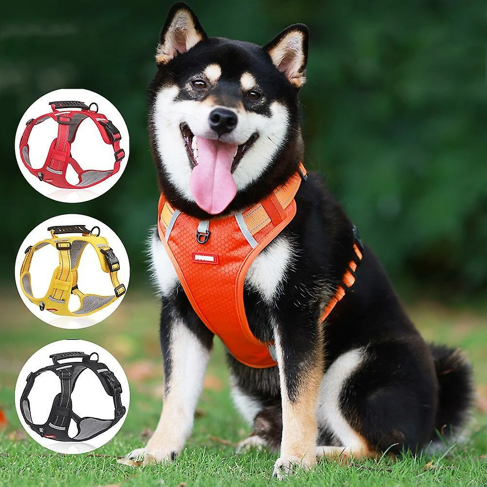 Unbranded Sysy No Pull Dog Harness Adjustable Reflective Oxford Easy Control Small Medium Large Dog Harness BL 5 Unbranded Sysy No Pull Dog Harness Adjustable Reflective Oxford Easy Control Small Medium Large Dog Harness BL – Image 5