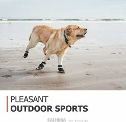 Unbranded Dog Shoes For Hot Pavement Dog Boots For Medium Large Dogs Waterproof Dog Booties With Anti-ip Sole Paw Protectors 4pcs 6 Unbranded Dog Shoes For Hot Pavement Dog Boots For Medium Large Dogs Waterproof Dog Booties With Anti-ip Sole Paw Protectors 4pcs -nourriture pour chien boutique 779057825 max