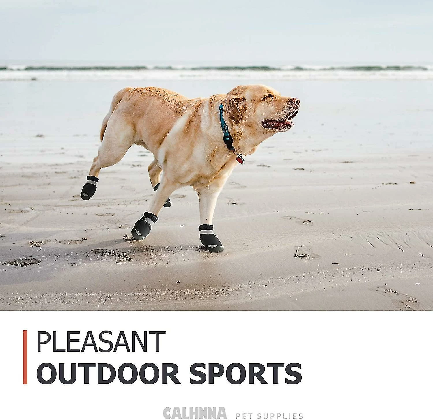 Unbranded Dog Shoes For Hot Pavement Dog Boots For Medium Large Dogs Waterproof Dog Booties With Anti-ip Sole Paw Protectors 4pcs 2 Unbranded Dog Shoes For Hot Pavement Dog Boots For Medium Large Dogs Waterproof Dog Booties With Anti-ip Sole Paw Protectors 4pcs – Image 2