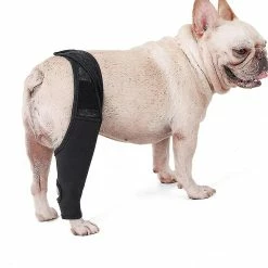 Unbranded Pet Dog Genouillère Genouillère Luxation De La Rotule Arthrite Garde L’articulation Au Chaud Soutien Supplémentaire