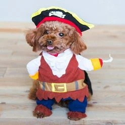 Unbranded Pirate Dog Costume Dog Costume Puppy Party Costume Halloween Christmas Easter Party Event(m) -nourriture pour chien boutique 780424539 max