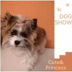 Unbranded 5pcs Puppy Crystal Strass Hair Clip Coiffure Hair Accessoires Dog Headwear Pet Grooming Pro -nourriture pour chien boutique 782125349 max