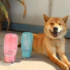 Unbranded Lar Eco-friendly Pliant Portable Pet Bottle 550ml Dog Bottle Outdoor Hi -nourriture pour chien boutique 786155661 max