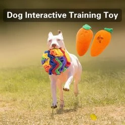 Unbranded Snuffle Mat Interactive Dog Toys Ball Dog Brain Mental Stimulating Puzzle Toys For Dogs Enrichment Game Feeding Mat For Stress Relief Portable Machine Washable (Small 6 Unbranded Snuffle Mat Interactive Dog Toys Ball Dog Brain Mental Stimulating Puzzle Toys For Dogs Enrichment Game Feeding Mat For Stress Relief Portable Machine Washable (Small -nourriture pour chien boutique 790504836 max