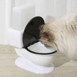 Unbranded Pour Cat Fountain Gravity Dog Water Dispenser 22oz Capacité Super Quiet No Filter 6 Unbranded Pour Cat Fountain Gravity Dog Water Dispenser 22oz Capacité Super Quiet No Filter -nourriture pour chien boutique 792057207 max
