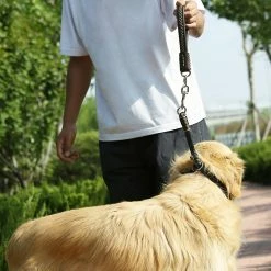 Unbranded Heavy Duty Short Dog Leash Soft Handle Leather Dog Collar Dogs Pet Supplies -nourriture pour chien boutique 792059329 max