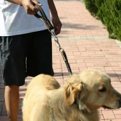 Unbranded Heavy Duty Short Dog Leash Soft Handle Leather Dog Collar Dogs Pet Supplies -nourriture pour chien boutique 792059348 max