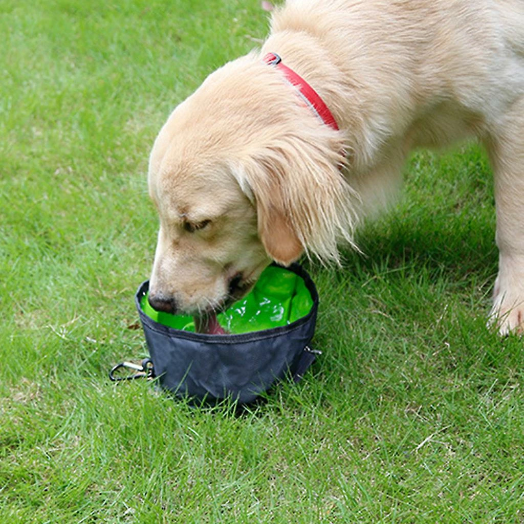 Unbranded 3 Pièces Pliable Dog Travel Bowls Portable Pliable Food Water Feeding Distributeur Avec Fermeture à Glissière Et Crochet D’escalade 4 Unbranded 3 Pièces Pliable Dog Travel Bowls Portable Pliable Food Water Feeding Distributeur Avec Fermeture à Glissière Et Crochet D’escalade – Image 4