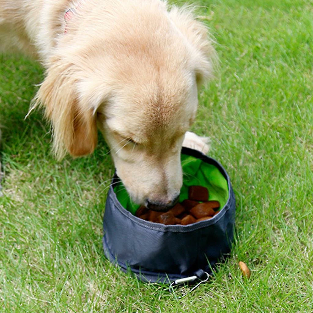 Unbranded 3 Pièces Pliable Dog Travel Bowls Portable Pliable Food Water Feeding Distributeur Avec Fermeture à Glissière Et Crochet D’escalade 5 Unbranded 3 Pièces Pliable Dog Travel Bowls Portable Pliable Food Water Feeding Distributeur Avec Fermeture à Glissière Et Crochet D’escalade – Image 5