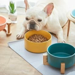 OEM Bol En Céramique Pet Food Water Bowl Dog Cat Ceramic Bowl Rose -nourriture pour chien boutique 797402725 max