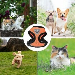 Unbranded Adjustable Reflective Cat Harness Vest Walking Straps For Cat Kitten Dog Puppy Leash Leads Pet Chest Harness K0023