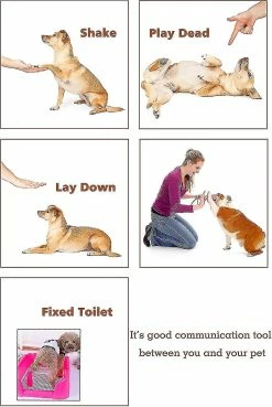 Unbranded Pet Training Clicker With Wrist Strap - Dog Training Clickers (nouveau Noir + Bleu) 8 Unbranded Pet Training Clicker With Wrist Strap - Dog Training Clickers (nouveau Noir + Bleu) -nourriture pour chien boutique 799495220 max