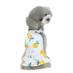 Redmiter Dog Camisole Robe Bayberry Impression Deux Pattes Coton ébouriffé Ourlet Jupe Sans Manches Pour L’été