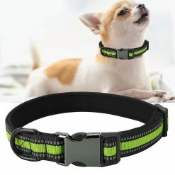 Gegong Durable Puppy Dog Cat Collar Personalized Pet Id Neck Strap (fluorescent Green S) 5 Gegong Durable Puppy Dog Cat Collar Personalized Pet Id Neck Strap (fluorescent Green S) -nourriture pour chien boutique 799615771 max