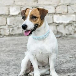 Gegong 2pcs Artificial Leather Pet Adjustable Collar With Rhinestone Decor For Small Dog Cat Blue 7 Gegong 2pcs Artificial Leather Pet Adjustable Collar With Rhinestone Decor For Small Dog Cat Blue -nourriture pour chien boutique 799616785 max