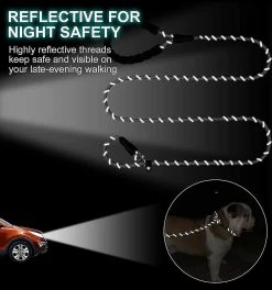 Unbranded Reflective Slip Lead Dog Leash, Climbing Rope Leash,11 -nourriture pour chien boutique 803641668 max