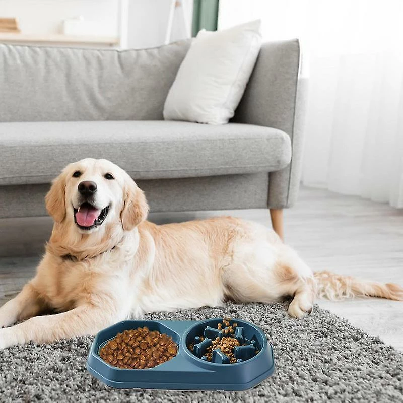 Alisili Dog Slow Feeder Bowl & Lick Mat No Spill No Skid Interactive Bloat Stop Durable No Choking Healthy Design Pet Food Puzzle And 2 Alisili Dog Slow Feeder Bowl & Lick Mat No Spill No Skid Interactive Bloat Stop Durable No Choking Healthy Design Pet Food Puzzle And – Image 2