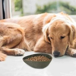 Alisili Pet Large Dog Feeding Bowls Slow Food Feeder Fruit Shaped Dog Feeder Bowl Food Feeder Dog Rice Bowl Pet Supplies -nourriture pour chien boutique 811141388 max