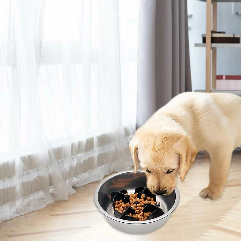 Alisili Pet Dog Bowl Dog Slow Feeder Bowl Puppy Cat Slow Eating Dish Bowl Feeding Dog Cat Food Bowl Pet Supplies Anti-gulping Food Plat 2 Alisili Pet Dog Bowl Dog Slow Feeder Bowl Puppy Cat Slow Eating Dish Bowl Feeding Dog Cat Food Bowl Pet Supplies Anti-gulping Food Plat – Image 2