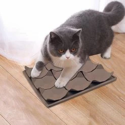 Alisili Pet Lick Foldable Silicone Mat For Dogs Pet Slow Food Plate Dog Snuffle Silicone Dog Sucker Food Training Dog Feeder Supplies -nourriture pour chien boutique 811142005 max