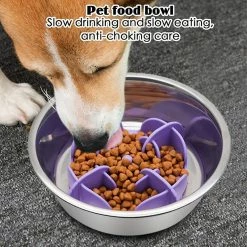 Alisili Pet Dog Bowl Dog Slow Feeder Bowl Puppy Cat Slow Eating Dish Bowl Feeding Dog Cat Food Bowl Pet Supplies Anti-gulping Food Plat 8 Alisili Pet Dog Bowl Dog Slow Feeder Bowl Puppy Cat Slow Eating Dish Bowl Feeding Dog Cat Food Bowl Pet Supplies Anti-gulping Food Plat -nourriture pour chien boutique 811142042 max