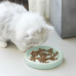 Alisili Pet Cat Dog Bowl Anti-choke Food Plate Pet Slow Food Bowl For Medium Small Cats Dogs Puppy Feeder 6 Alisili Pet Cat Dog Bowl Anti-choke Food Plate Pet Slow Food Bowl For Medium Small Cats Dogs Puppy Feeder -nourriture pour chien boutique 811142131 max