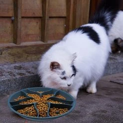 Alisili Slow Food Bowl For Dogs Safe And Durable Silicone Slow Feeder Dog Bowl Easy To Use Pet Silicone Stainless Steel Bowl -nourriture pour chien boutique 811142157 max