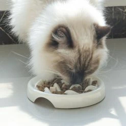 Alisili Pet Cat Dog Bowl Anti-choke Food Plate Pet Slow Food Bowl For Medium Small Cats Dogs Puppy Feeder 7 Alisili Pet Cat Dog Bowl Anti-choke Food Plate Pet Slow Food Bowl For Medium Small Cats Dogs Puppy Feeder -nourriture pour chien boutique 811142158 max