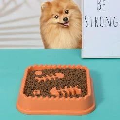 Alisili Healthy Anti-choking Prevent Gluttony Obesity Non-slip Dog Food Bowls Pet Slow Feeder Water Drinking Puppy Dishes -nourriture pour chien boutique 811142934 max
