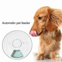 Alisili Practical Pet Feeder Bpa Free Cat Food Feeder Automatic Dog Cat Rabbit Puppy Tray Dry Wet Food Bowl Multi-purpose -nourriture pour chien boutique 811143074 max