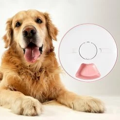 Alisili Durable Cat Food Feeder Easy Cleaning Pet Feeder 6 Grids Dog Cat Rabbit Puppy Tray Dry Wet Food Bowl Multi-purpose 7 Alisili Durable Cat Food Feeder Easy Cleaning Pet Feeder 6 Grids Dog Cat Rabbit Puppy Tray Dry Wet Food Bowl Multi-purpose -nourriture pour chien boutique 811143269 max