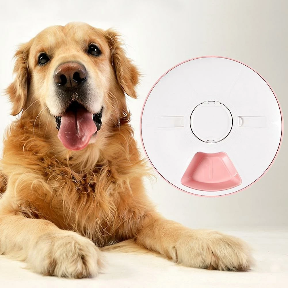 Alisili Durable Cat Food Feeder Easy Cleaning Pet Feeder 6 Grids Dog Cat Rabbit Puppy Tray Dry Wet Food Bowl Multi-purpose 3 Alisili Durable Cat Food Feeder Easy Cleaning Pet Feeder 6 Grids Dog Cat Rabbit Puppy Tray Dry Wet Food Bowl Multi-purpose – Image 3