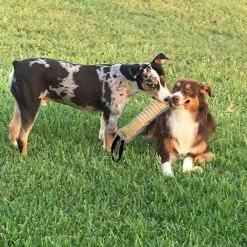 Unbranded Dog Jute Toy Dog Tug Toy Durable Dog Sleeve Stick Equipment For To Lar Dogs Interactive Play -nourriture pour chien boutique 812057607 max