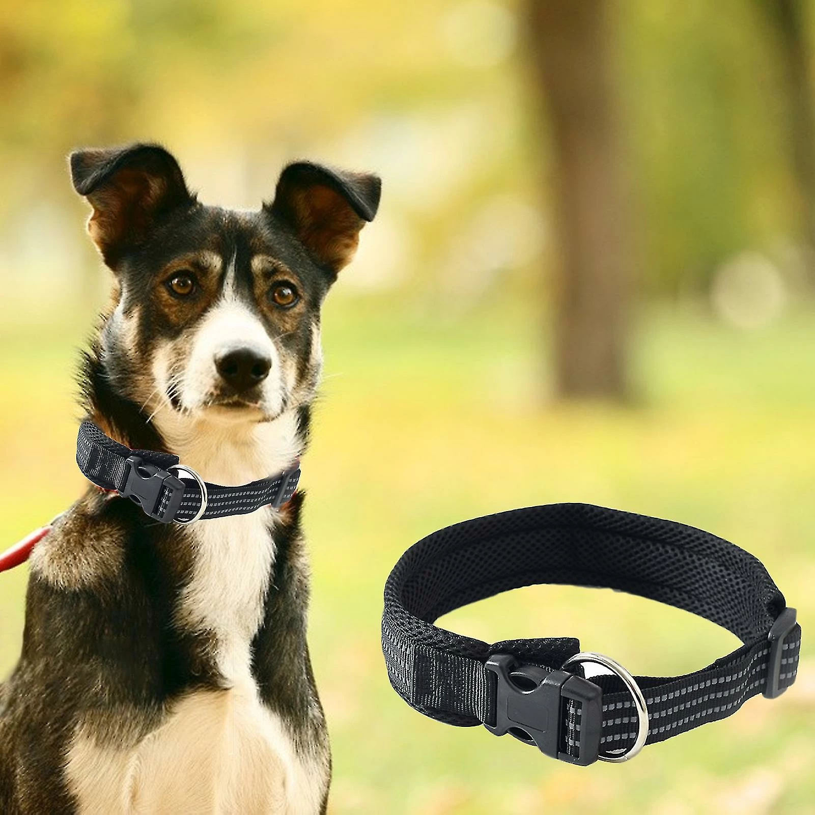 Unbranded Farfi Pet Traction Collar Respirant Net Yarn Break Away Réglable Reflective Collar Dog Traction Tool Pour Chiens De Taille Moyenne 2 Unbranded Farfi Pet Traction Collar Respirant Net Yarn Break Away Réglable Reflective Collar Dog Traction Tool Pour Chiens De Taille Moyenne – Image 2