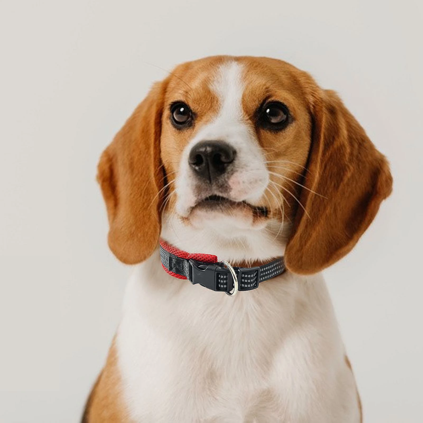 Unbranded Farfi Pet Traction Collar Respirant Net Yarn Break Away Réglable Reflective Collar Dog Traction Tool Pour Chiens De Taille Moyenne 3 Unbranded Farfi Pet Traction Collar Respirant Net Yarn Break Away Réglable Reflective Collar Dog Traction Tool Pour Chiens De Taille Moyenne – Image 3