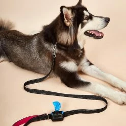 Unbranded Farfi Pet Leash Stable Sincasproof Nylon Outdoors Two Handles Dog Puppy Leash Household Supplies -nourriture pour chien boutique 814240038 max