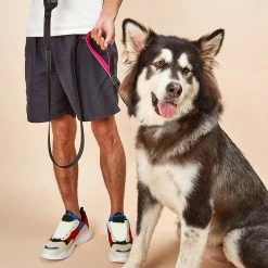 Unbranded Farfi Pet Leash Stable Sincasproof Nylon Outdoors Two Handles Dog Puppy Leash Household Supplies -nourriture pour chien boutique 814240396 max