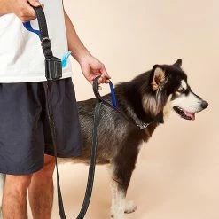 Unbranded Farfi Pet Leash Stable Sincasproof Nylon Outdoors Two Handles Dog Puppy Leash Household Supplies -nourriture pour chien boutique 814240586 max