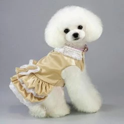 Unbranded Farfi Dog Harness Combo Escape Proof Easy Control Accessoire Princess Style Dog Harness Leash Avec Robe Pour L’extérieur 7 Unbranded Farfi Dog Harness Combo Escape Proof Easy Control Accessoire Princess Style Dog Harness Leash Avec Robe Pour L’extérieur -nourriture pour chien boutique 814241350 max