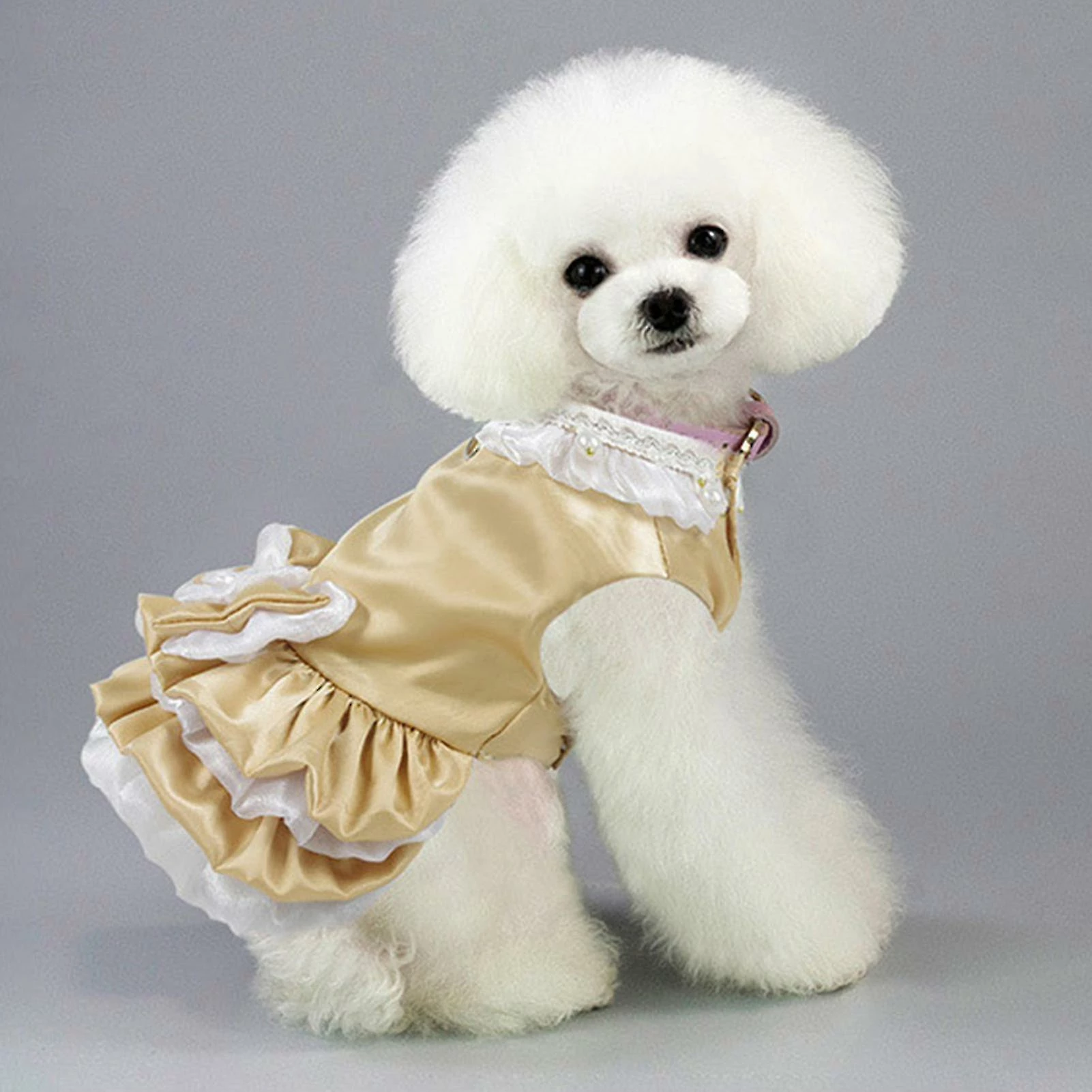 Unbranded Farfi Dog Harness Combo Escape Proof Easy Control Accessoire Princess Style Dog Harness Leash Avec Robe Pour L’extérieur 4 Unbranded Farfi Dog Harness Combo Escape Proof Easy Control Accessoire Princess Style Dog Harness Leash Avec Robe Pour L’extérieur – Image 4