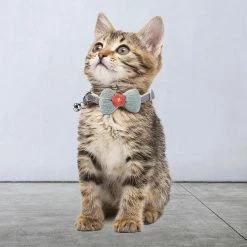 Unbranded Farfi Kitten Collar Lovely Bow Decor Daily Dress Up Neck Jewelry Pet Neck Accessory Small Dog Collar Avec Bell For Party 7 Unbranded Farfi Kitten Collar Lovely Bow Decor Daily Dress Up Neck Jewelry Pet Neck Accessory Small Dog Collar Avec Bell For Party -nourriture pour chien boutique 814241767 max